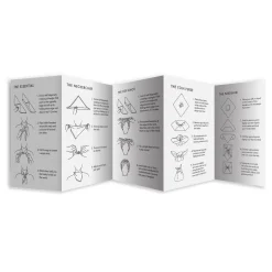 Avian Flight Classic Game Bandana