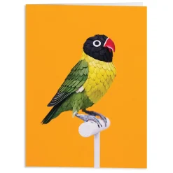 Birds Of The World Greeting Assortment Notecard Set
