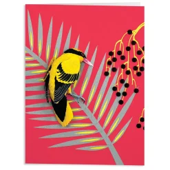 Birds Of The World Greeting Assortment Notecard Set