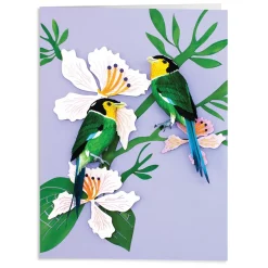 Birds Of The World Greeting Assortment Notecard Set