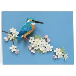 Birds Of The World Greeting Assortment Notecard Set
