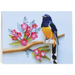 Birds Of The World Greeting Assortment Notecard Set
