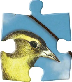 Birds Sinfonia Double-Sided 250 Piece Jigsaw Puzzle