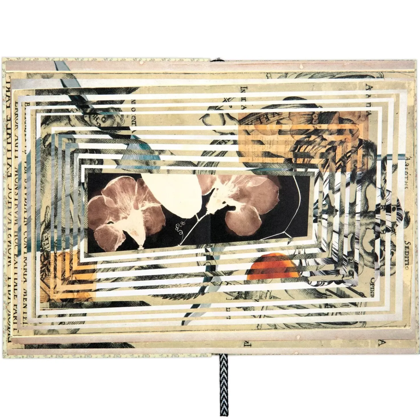 Christian Lacroix Heritage Collection Curiosity A5 Softbound Notebook