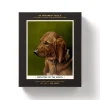 Employee Of The Month 300 Piece Apartment Puzzle
