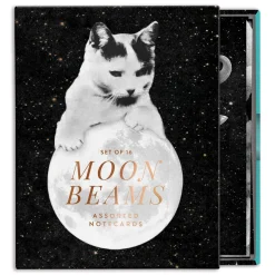 Moonbeams Greeting Card Assortment