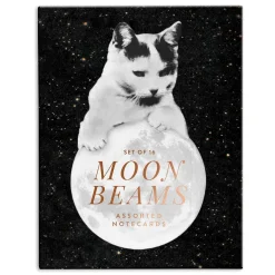 Moonbeams Greeting Card Assortment