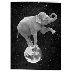 Moonbeams Greeting Card Assortment