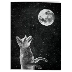 Moonbeams Greeting Card Assortment