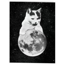 Moonbeams Greeting Card Assortment