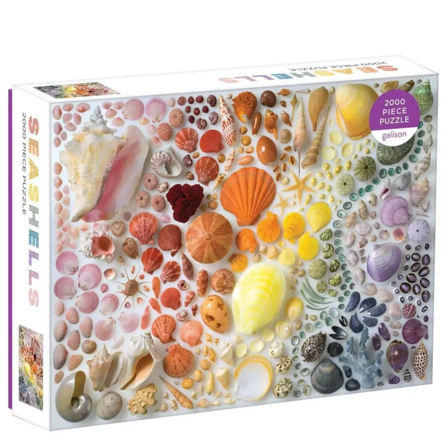 Rainbow Seashells 2000 Piece Jigsaw Puzzle