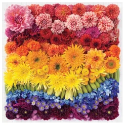 Rainbow Summer Flowers 500 Piece Jigsaw Puzzle