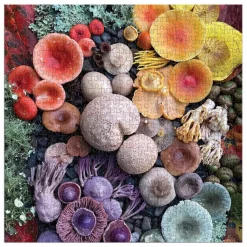 Shrooms In Bloom 500 Piece Puzzle