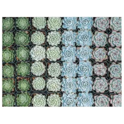 Succulent Garden Double-Sided 500 Piece Jigsaw Puzzle