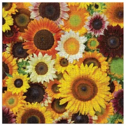 Sunflower Blooms 500 Piece Puzzle
