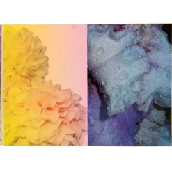 The Art Series - Catherine Larre A5 Notebook