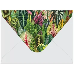 Troy Litten Houseplant Jungle Greeting Assortment Notecards