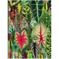 Troy Litten Houseplant Jungle Greeting Assortment Notecards