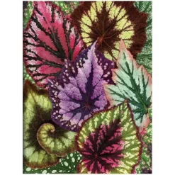 Troy Litten Houseplant Jungle Greeting Assortment Notecards