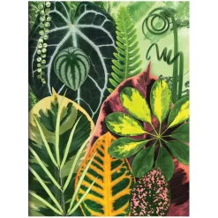 Troy Litten Houseplant Jungle Greeting Assortment Notecards